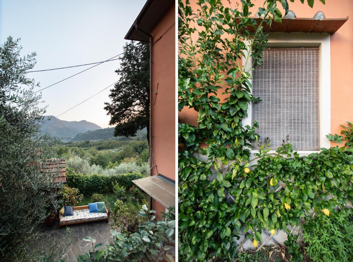 Casetta Di Butia, Mimosa Apartment 보르고 아 모짜노 외부 사진